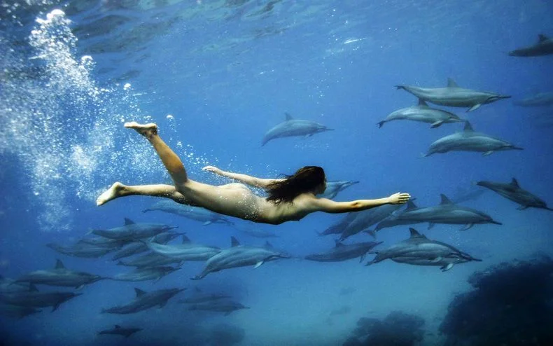 девушка и дельфин.webp