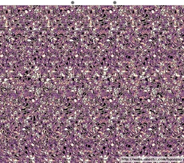 девушка на лошади.webp