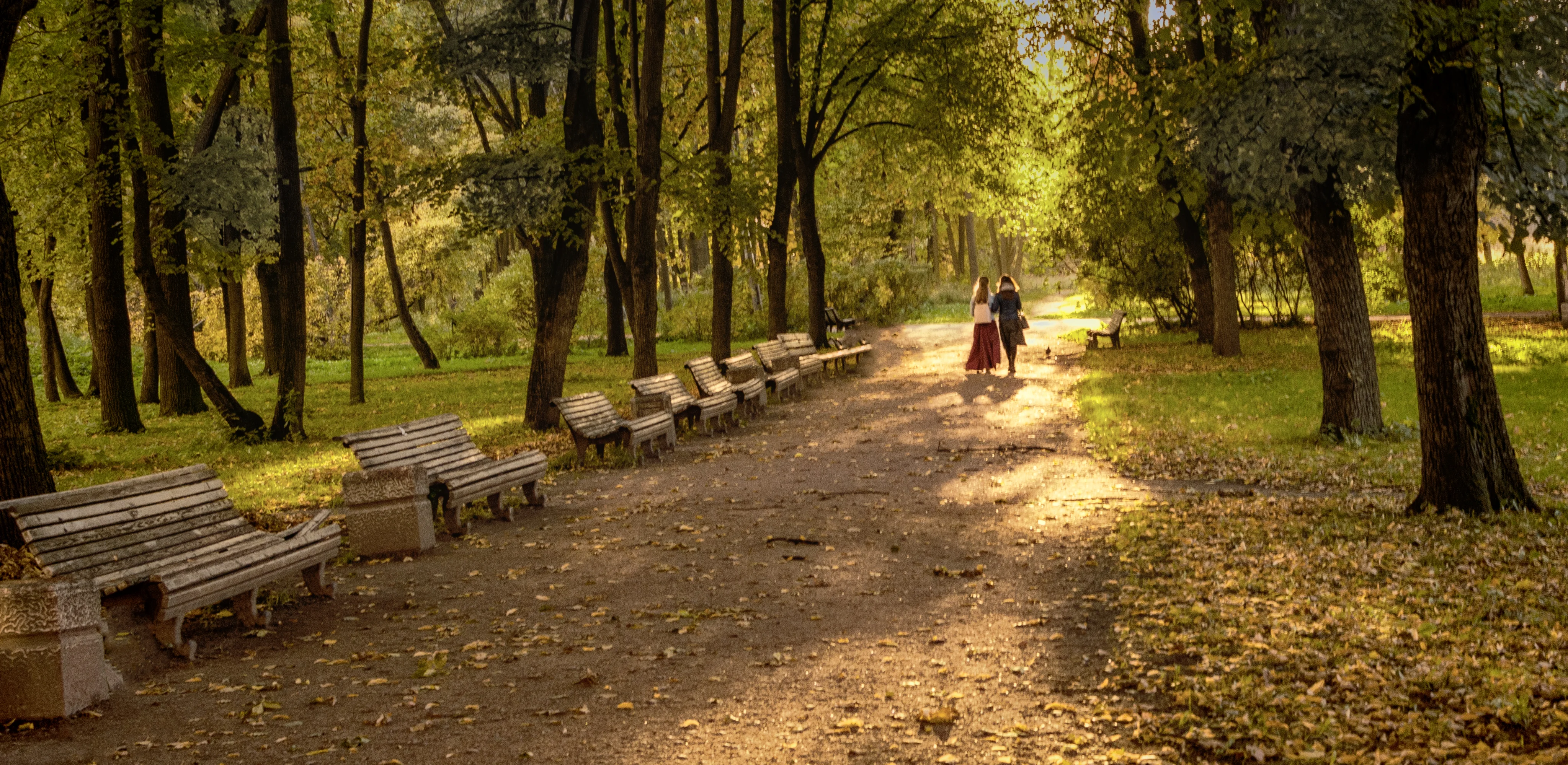 девушки в парке.webp