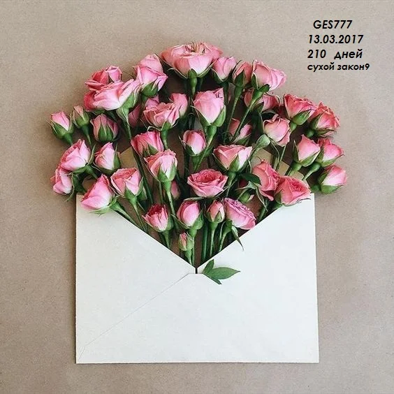 df4645be06583791b0cd4777bae7d8cd - копия.webp