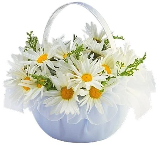 df8a3283b6f1.webp