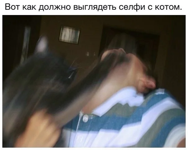 Dg6ZcQ-k6NI.webp