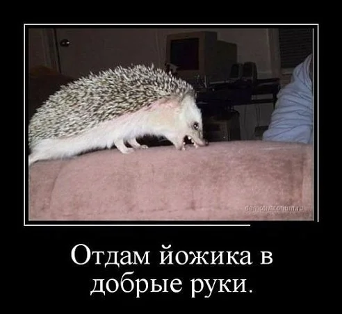 dHQcVXx9p_0.webp