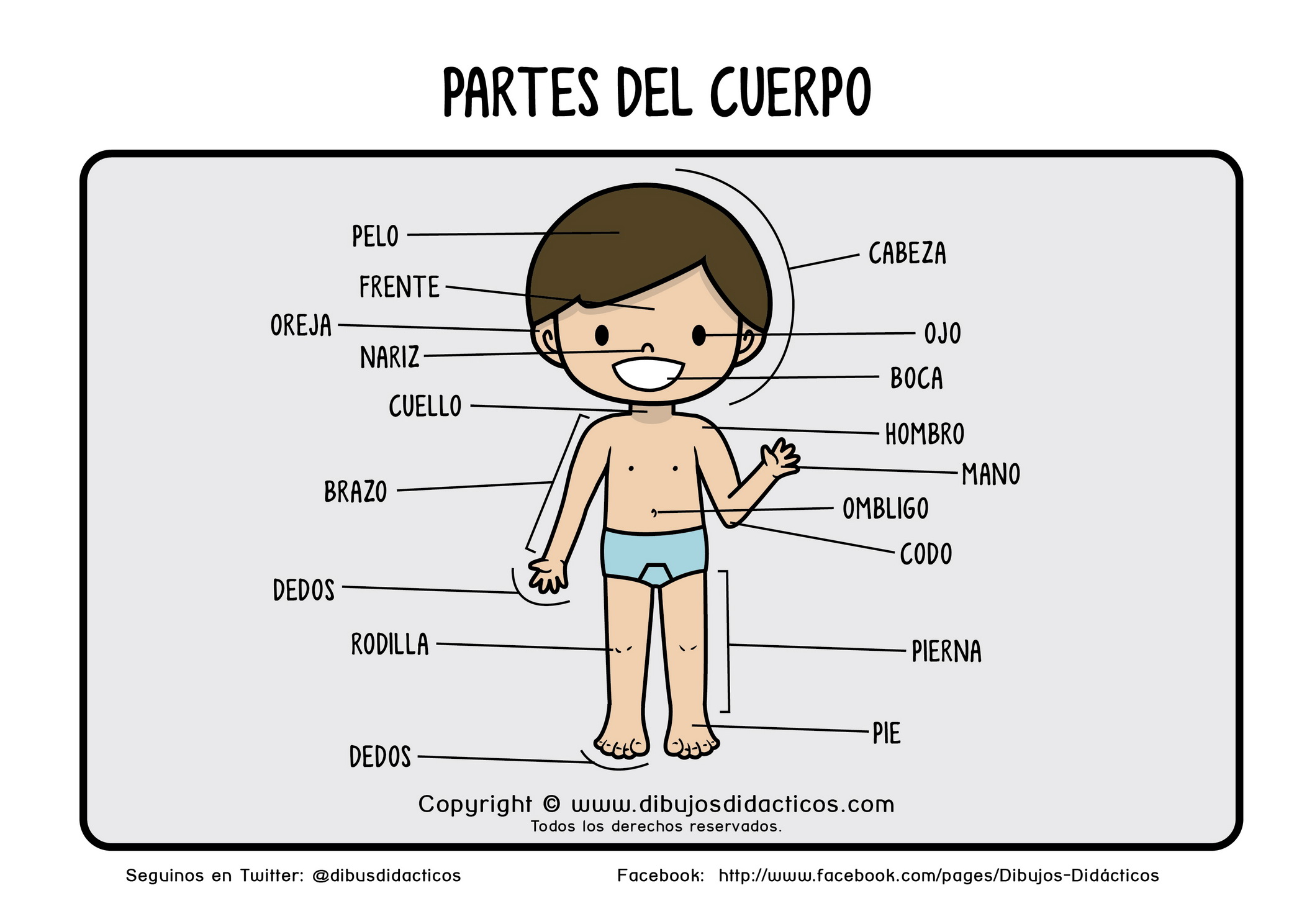 dibujo_partes_del_cuerpo_nene_chico__20120810_1860719634.jpg