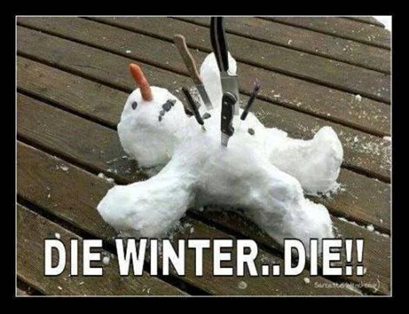 Die Winter.webp