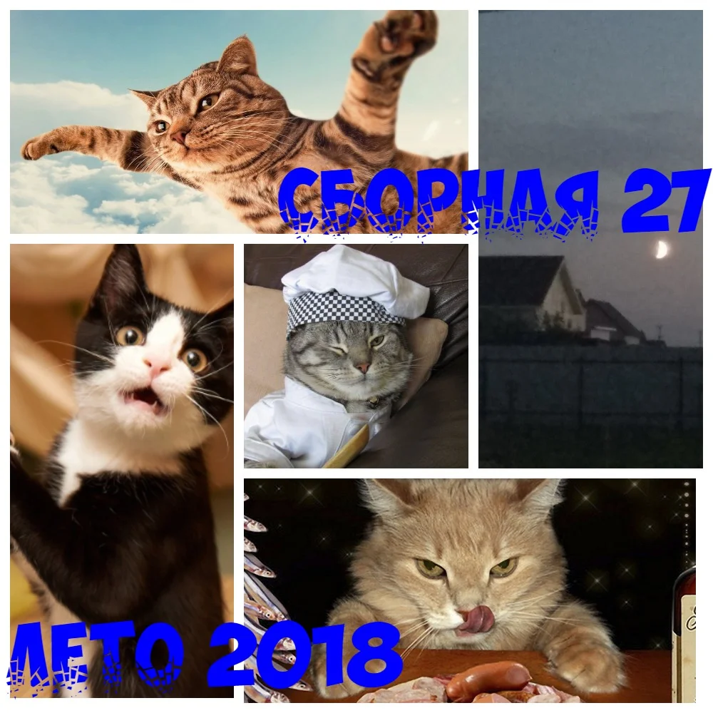 Дима коллаж норм.webp