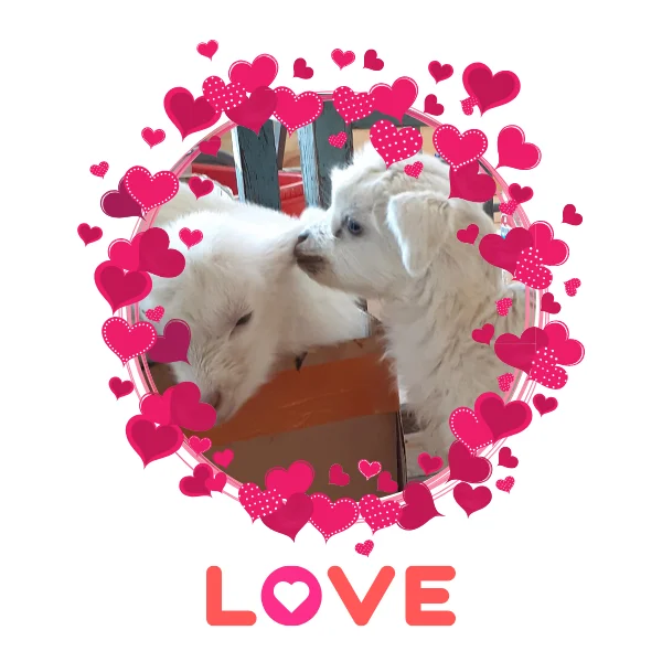 Дизайн без названия (1).webp