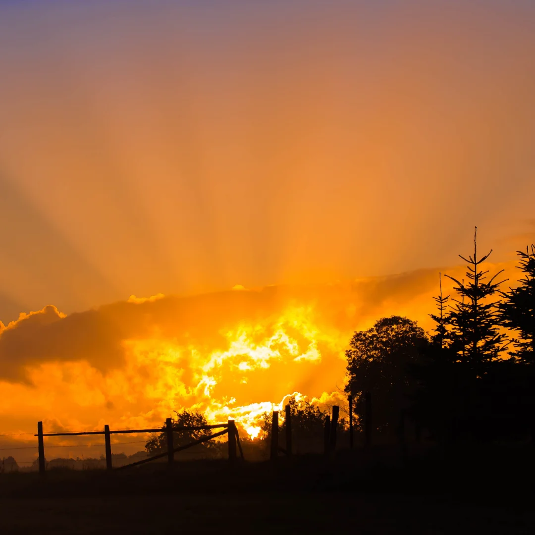 Дизайн без названия (18).webp