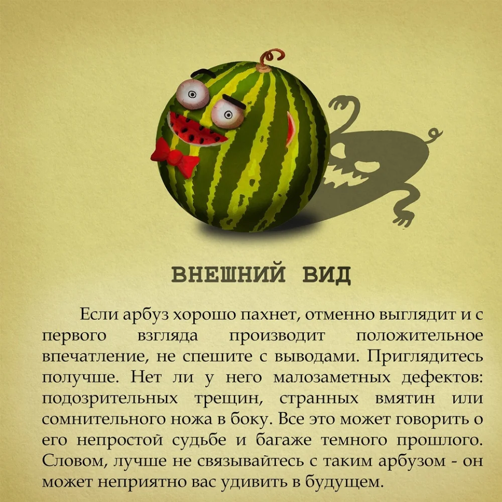 Дизайн без названия(3).webp