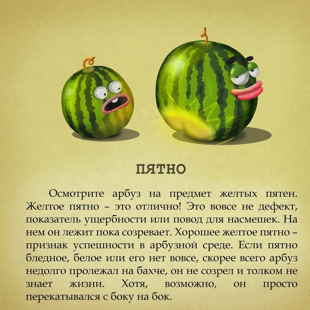 Дизайн без названия(4).webp