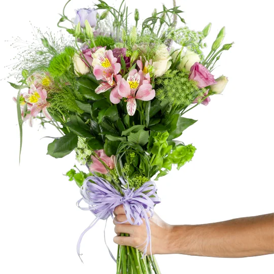 Дизайн без названия (59).webp