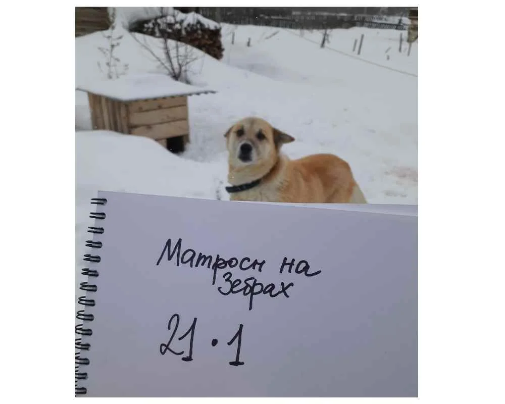 Дизайн без названия (6).webp