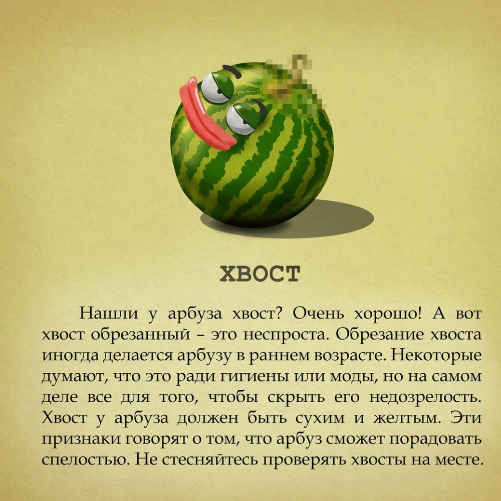 Дизайн без названия(6).webp