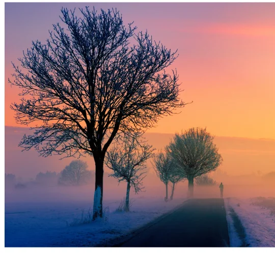 Дизайн без названия (60).webp