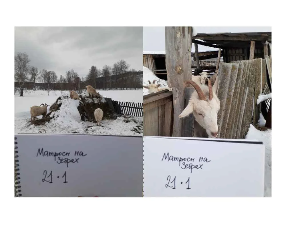 Дизайн без названия (7).webp