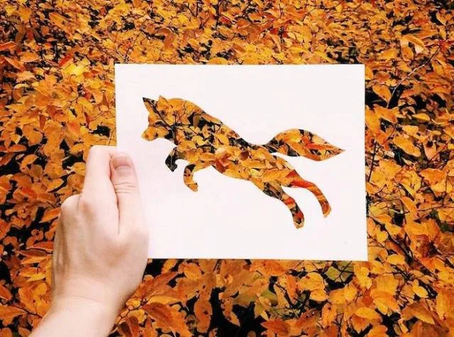 Дизайн от матушки-природы.webp