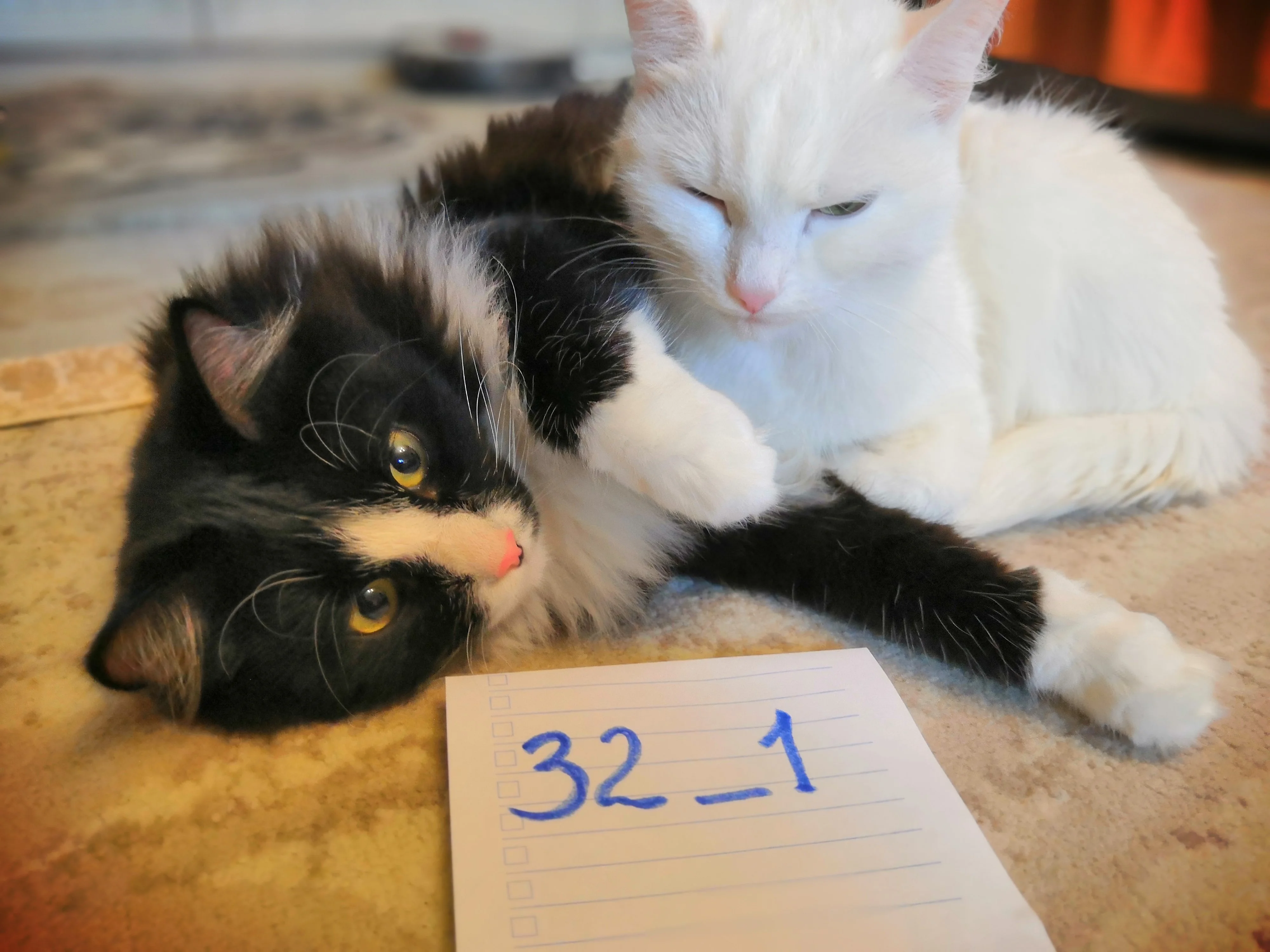 для форума.webp