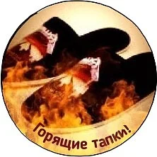 для леши.webp