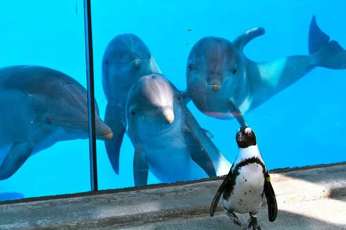 для Мики.webp