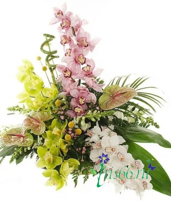 для Олик.webp