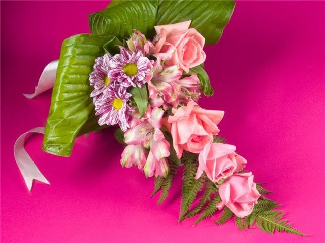 для Олик.webp