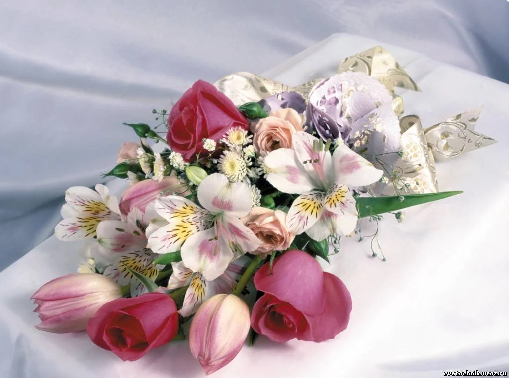 для тебя !.webp