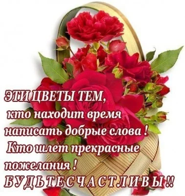 для В. Файб.webp