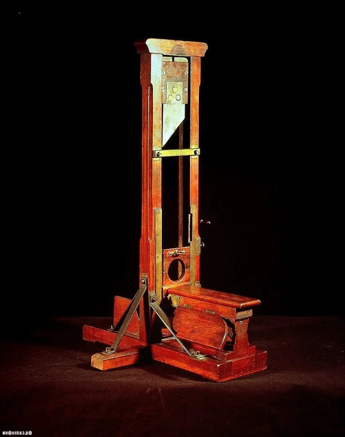 dlyakota.ru_fakty_poslednyaya-publichnaya-kazn-vo-francii-s-pomoschyu-gilotiny_1.webp