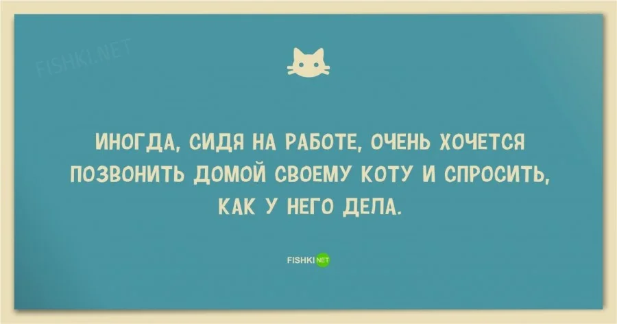 dlyakota.ru_stati-o-koshkah_25-smeshnyh-anekdotov-pro-koshek-i-kotov_16.webp