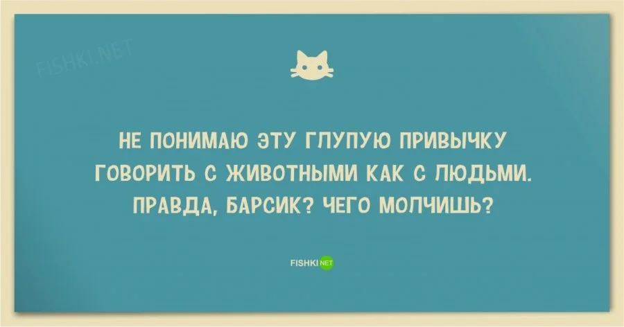 dlyakota_ru_stati-o-koshkah_25-smeshnyh-anekdotov-pro-koshek-i-kotov_4.webp