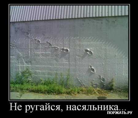 dm_21.webp