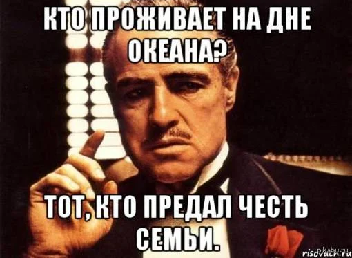 дно.webp