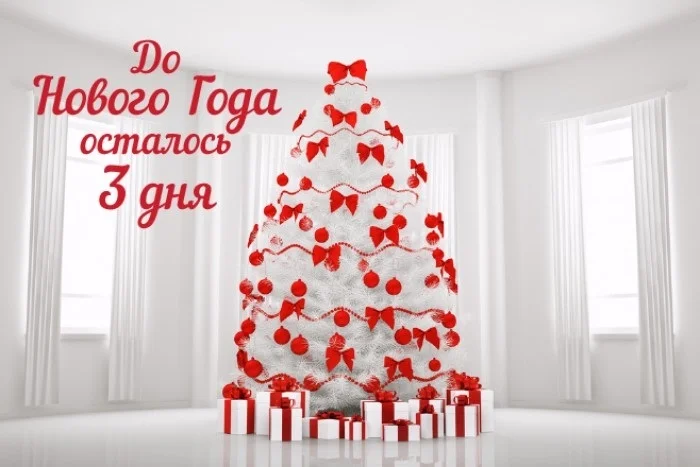 до-нового-года-осталось-3-дня-021.webp