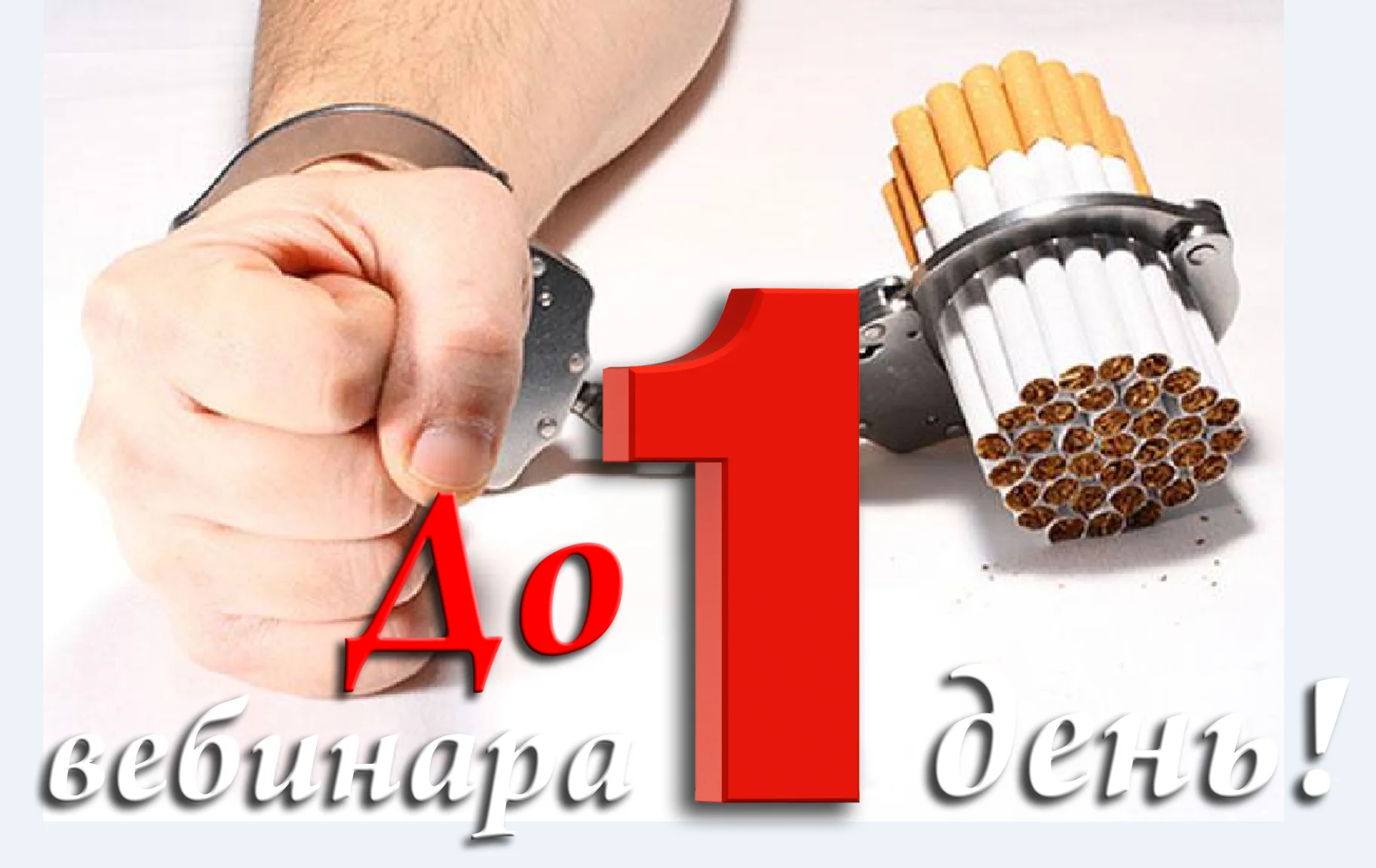 до вебинара 1 день копия.webp