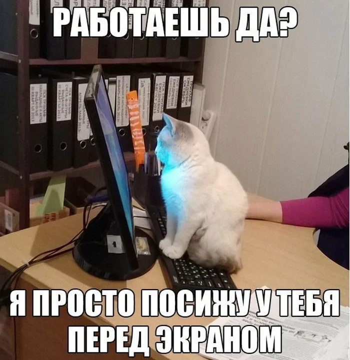 добр.webp
