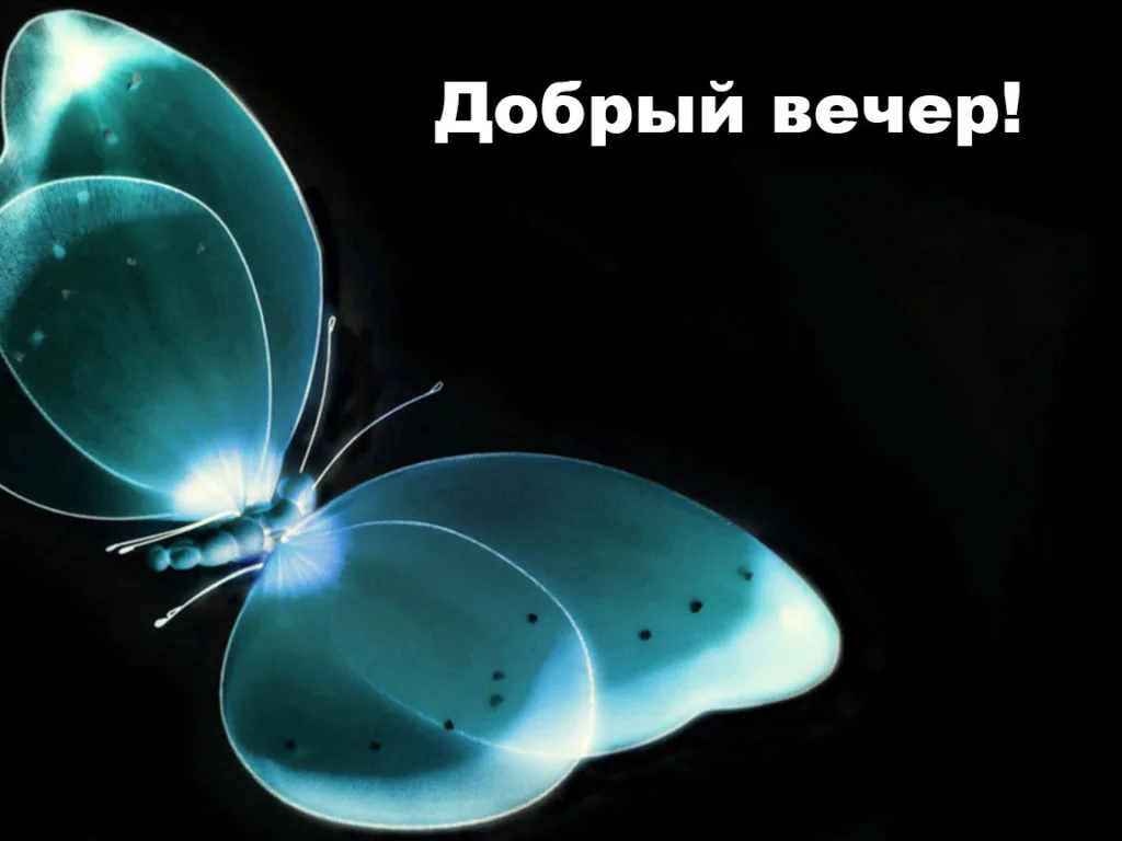 dobriy-vecher-1.webp