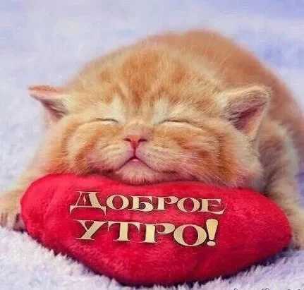 dobroe-utro (1).webp