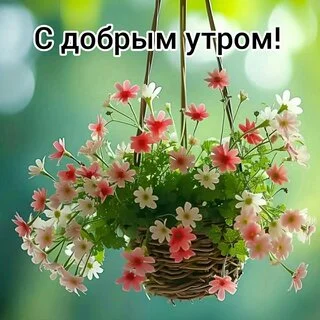 dobroe-utro (1).webp