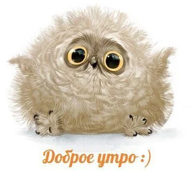 доброе утро-1.webp