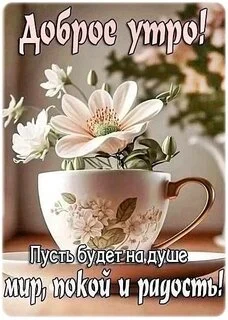 dobroe-utro (2).webp