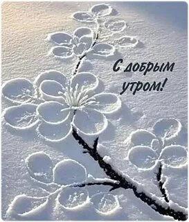 dobroe-utro (2).webp