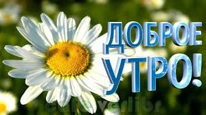 доброе утро 28.04.webp