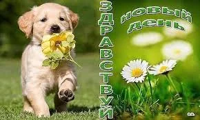 доброе утро 29.04.webp