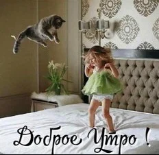 dobroe-utro (3).webp