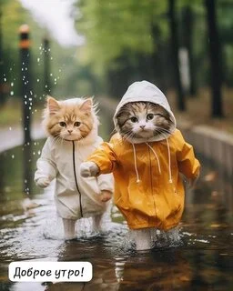 dobroe-utro (3).webp