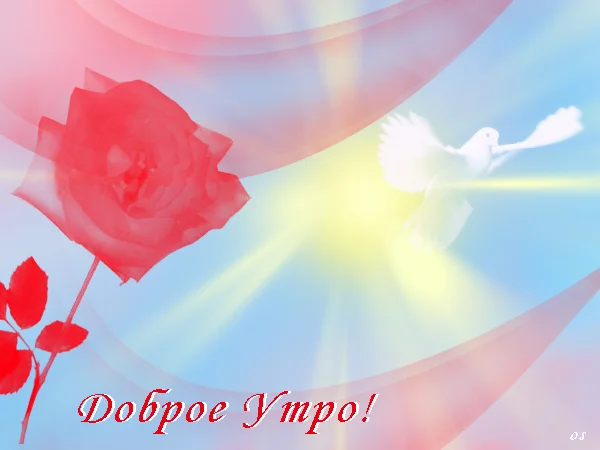 доброе-утро-3.webp
