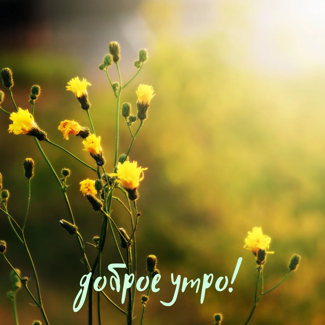 доброе утро! (6).webp