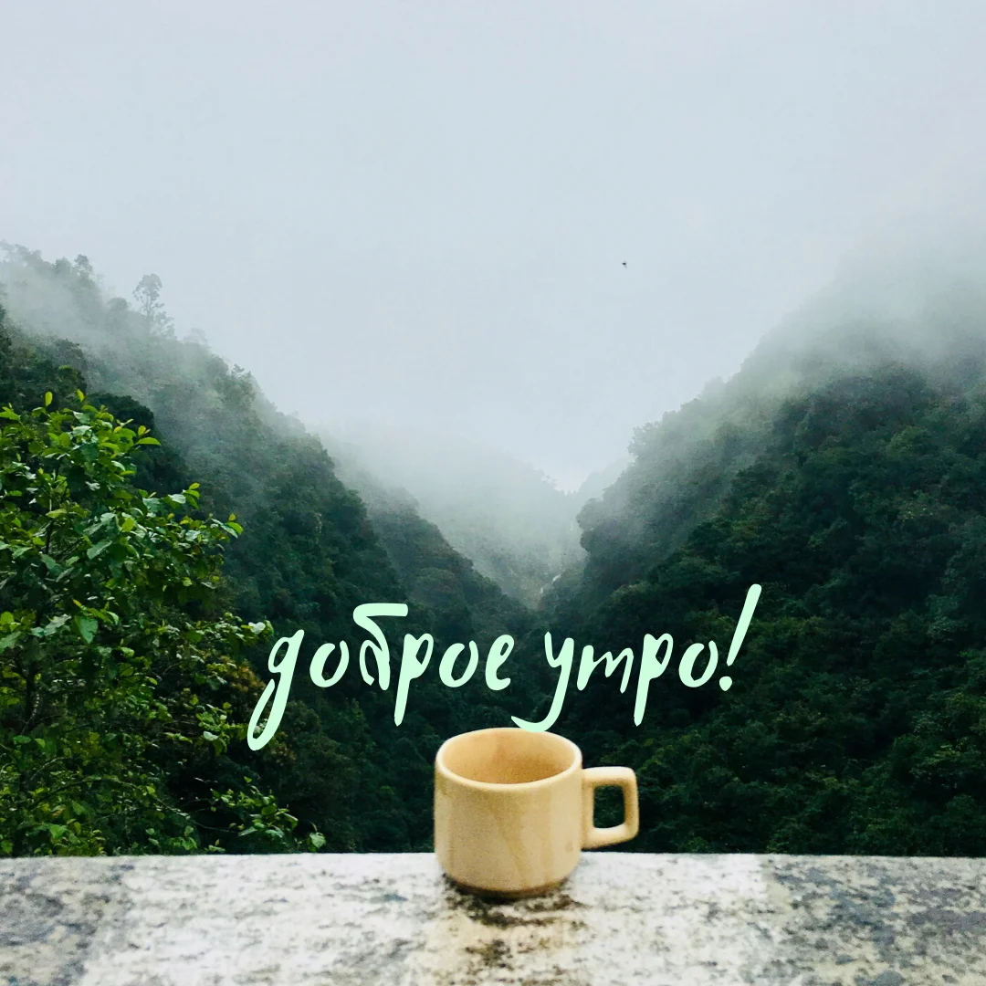 доброе утро! (7).webp