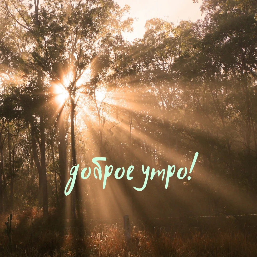 доброе утро! (8).webp