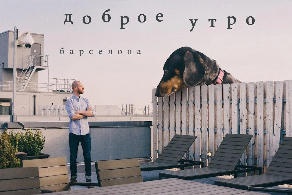 доброе утро барса.webp